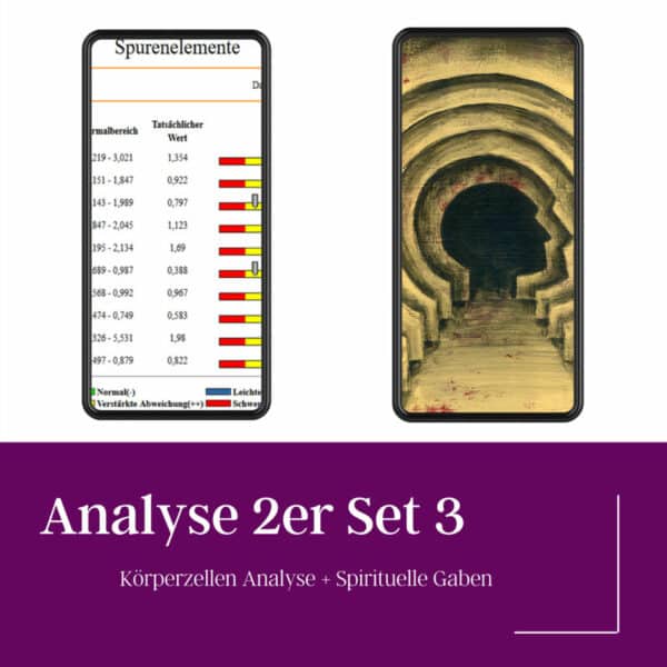 Analyse 2er Set 3 - 123FitVital